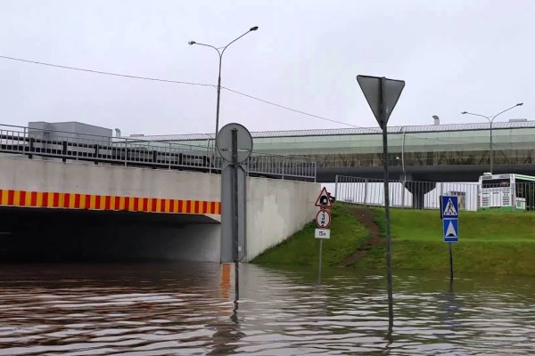 Рабочее зеркало на кракен