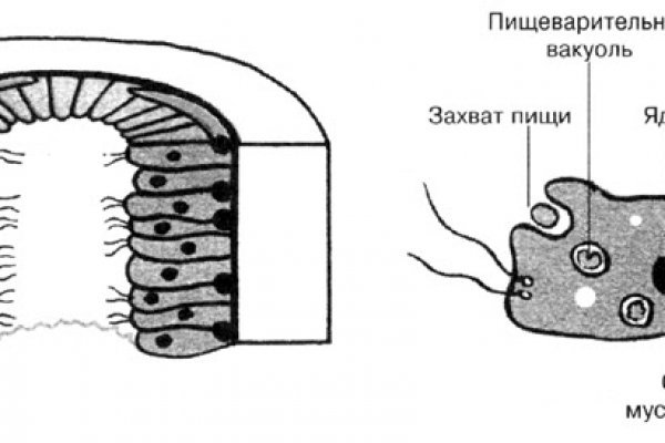 Актуальная ссылка на кракен